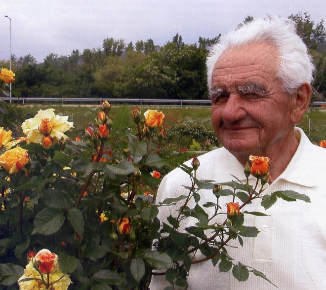 A világhírű rózsanemesítő, Márk Gergely